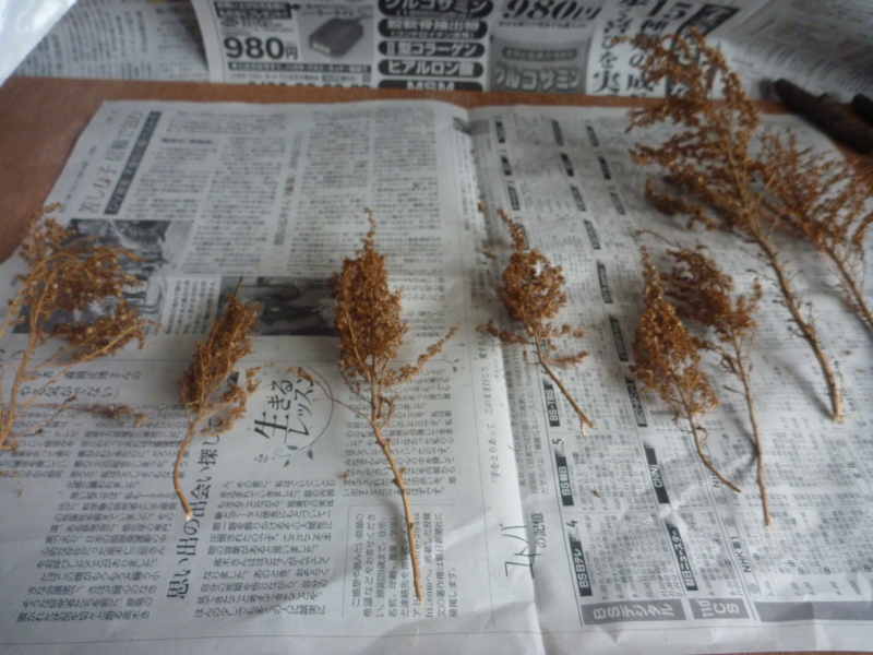f:id:gc8hiro:20110517131300j:image