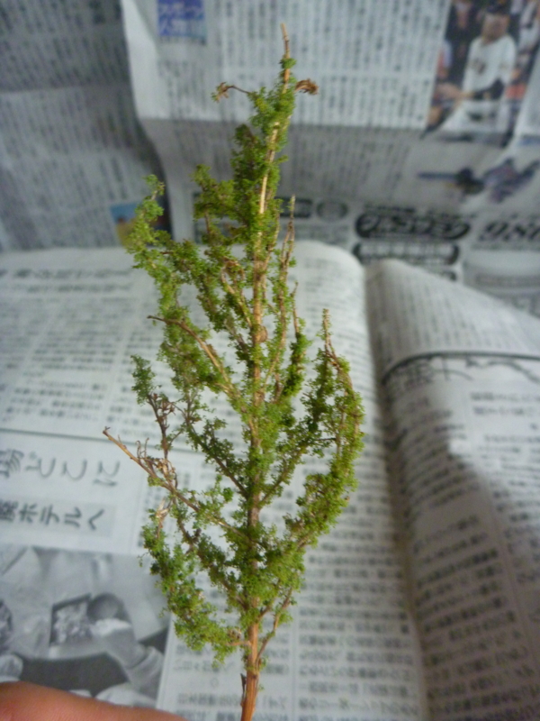 f:id:gc8hiro:20110517133016j:image