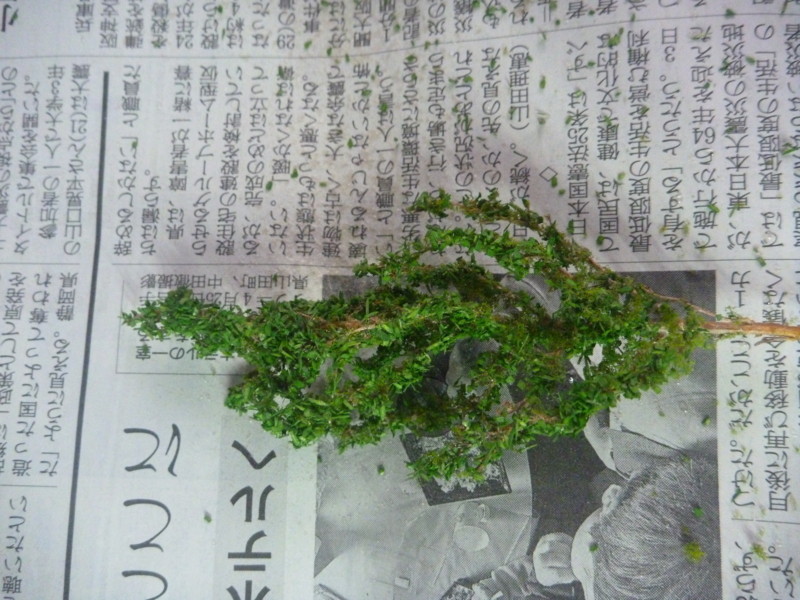 f:id:gc8hiro:20110517133420j:image
