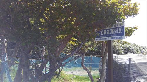 f:id:gchanchan:20180924105423j:plain