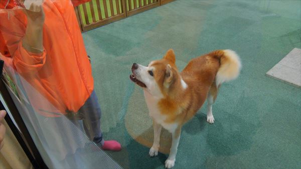 f:id:gchanchan:20201024140800j:plain f:id:gchanchan:20201024140800j:plain