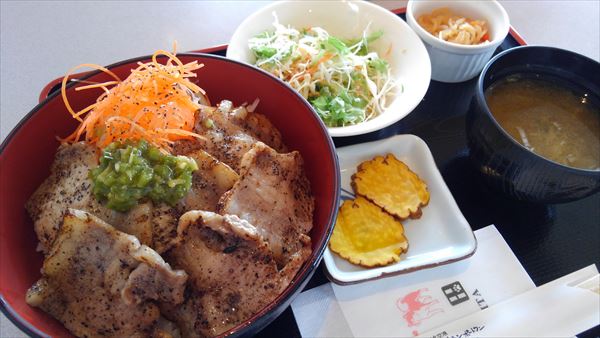 f:id:gchanchan:20201025131525j:plain f:id:gchanchan:20201025131525j:plain