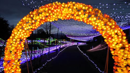 f:id:gchanchan:20201129110745j:plain