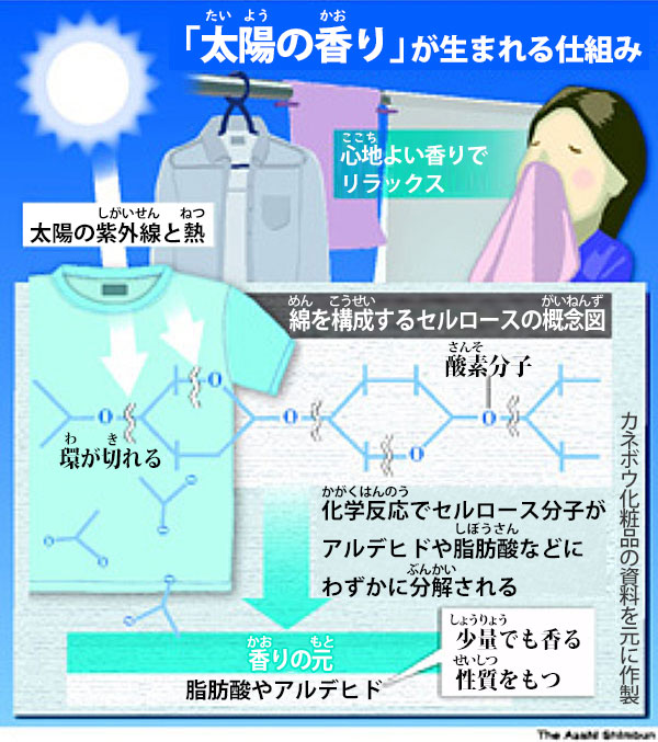 おひさまの匂い 太陽の香り の正体 ダニの死骸じゃなかった がらくたクリップ