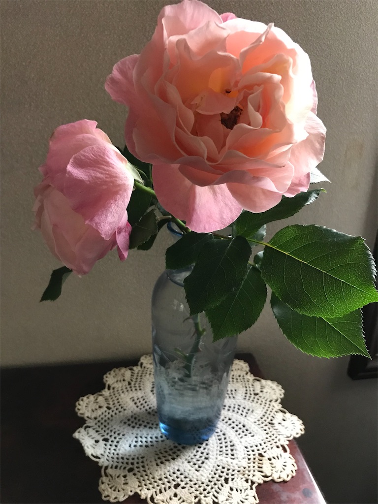 f:id:gcloud:20210829172907j:image f:id:gcloud:20210829172907j:image