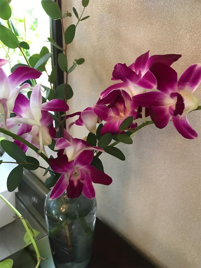 f:id:gcloud:20211205204640j:image f:id:gcloud:20211205204640j:image