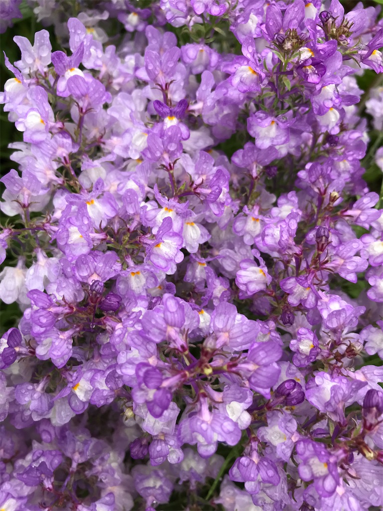 f:id:gcloud:20220430171838j:image f:id:gcloud:20220430171838j:image