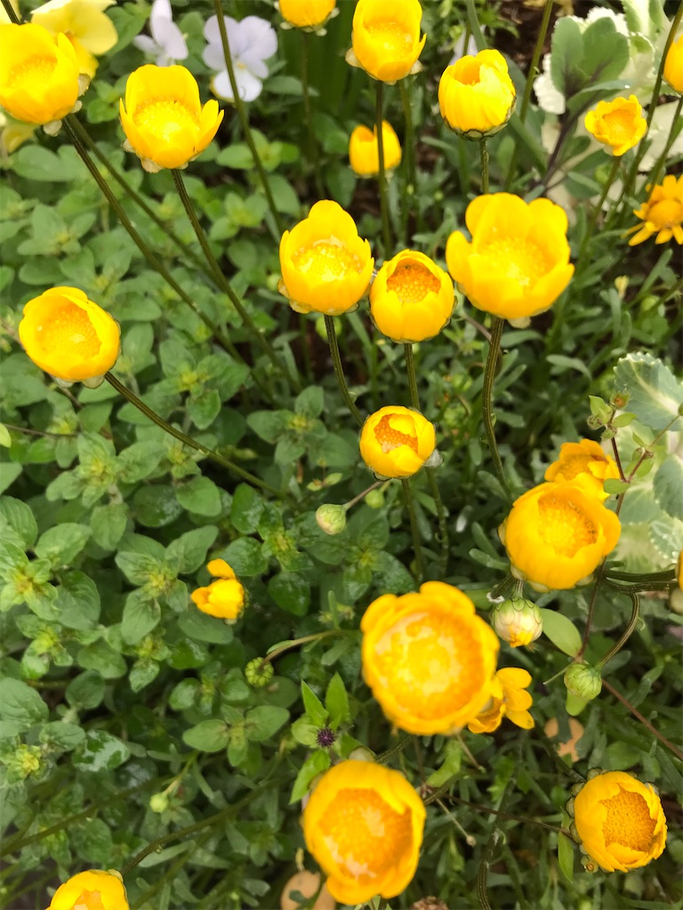 f:id:gcloud:20220430171841j:image f:id:gcloud:20220430171841j:image