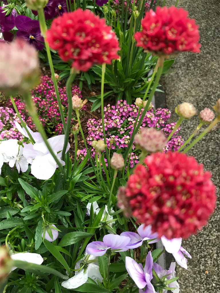 f:id:gcloud:20220430171844j:image f:id:gcloud:20220430171844j:image