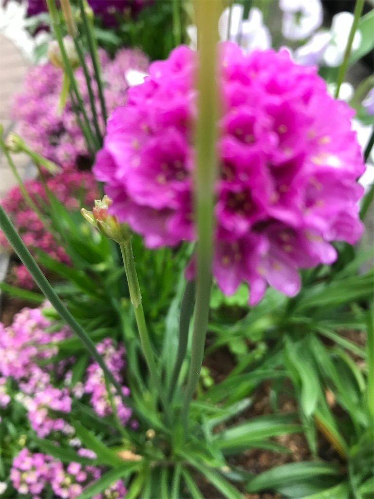 f:id:gcloud:20220430171850j:image f:id:gcloud:20220430171850j:image