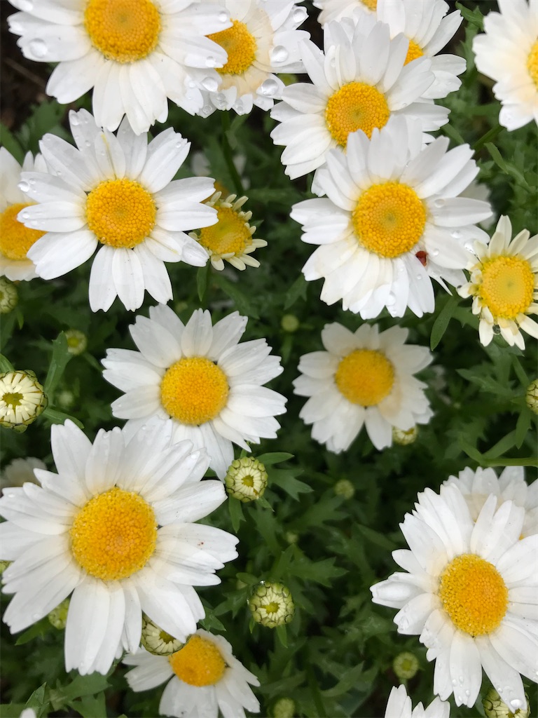 f:id:gcloud:20220430171854j:image f:id:gcloud:20220430171854j:image