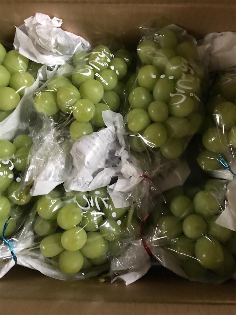 f:id:gcloud:20220924171838j:image