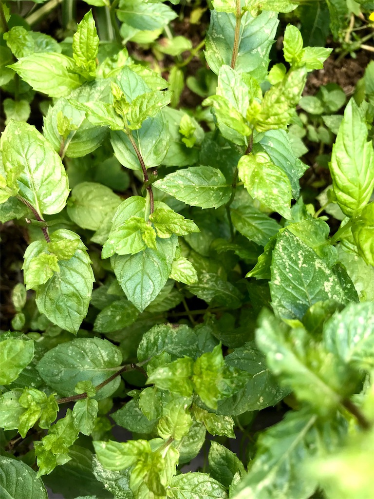 f:id:gcloud:20221203070118j:image f:id:gcloud:20221203070118j:image