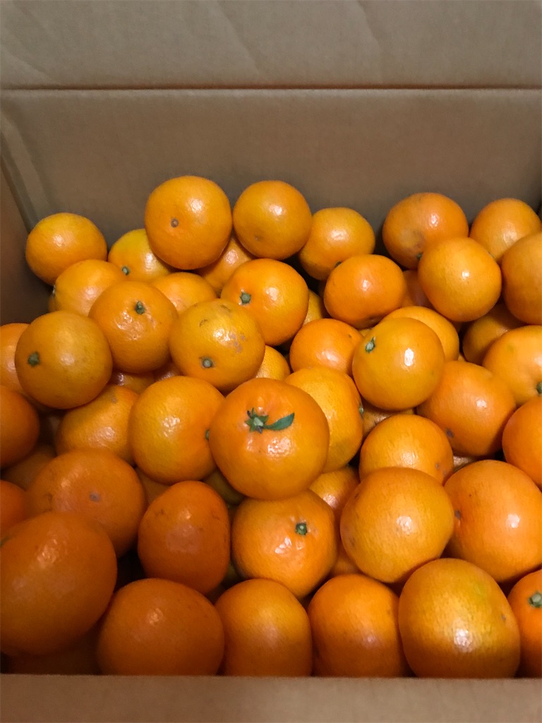 f:id:gcloud:20221210194220j:image