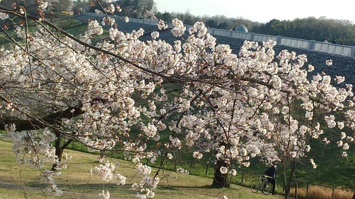 f:id:gcnobuyuki8322:20200414205407j:plain f:id:gcnobuyuki8322:20200414205407j:plain