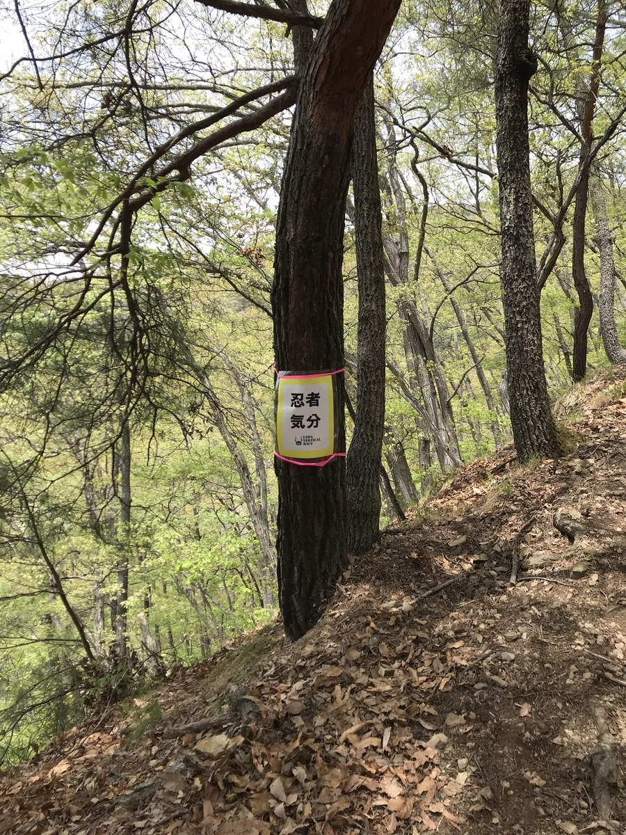 f:id:gcygx694:20190515005443j:plain f:id:gcygx694:20190515005443j:plain