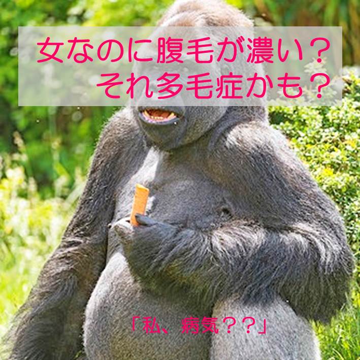 女なのに腹毛が異常に濃い その毛深さは多毛症という病気かも 女性のお腹の毛 へそ周りの毛 処理レスキューブログ