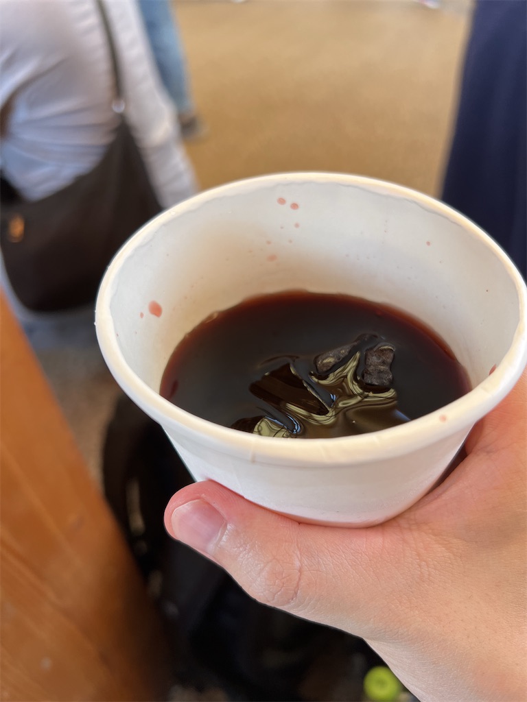 f:id:gd-pishi:20250909220554j:image