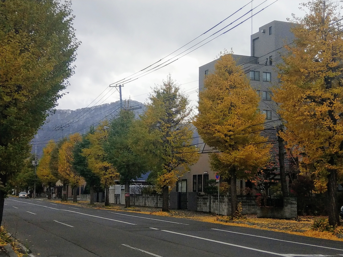 f:id:gdbtt440:20191108145736j:plain