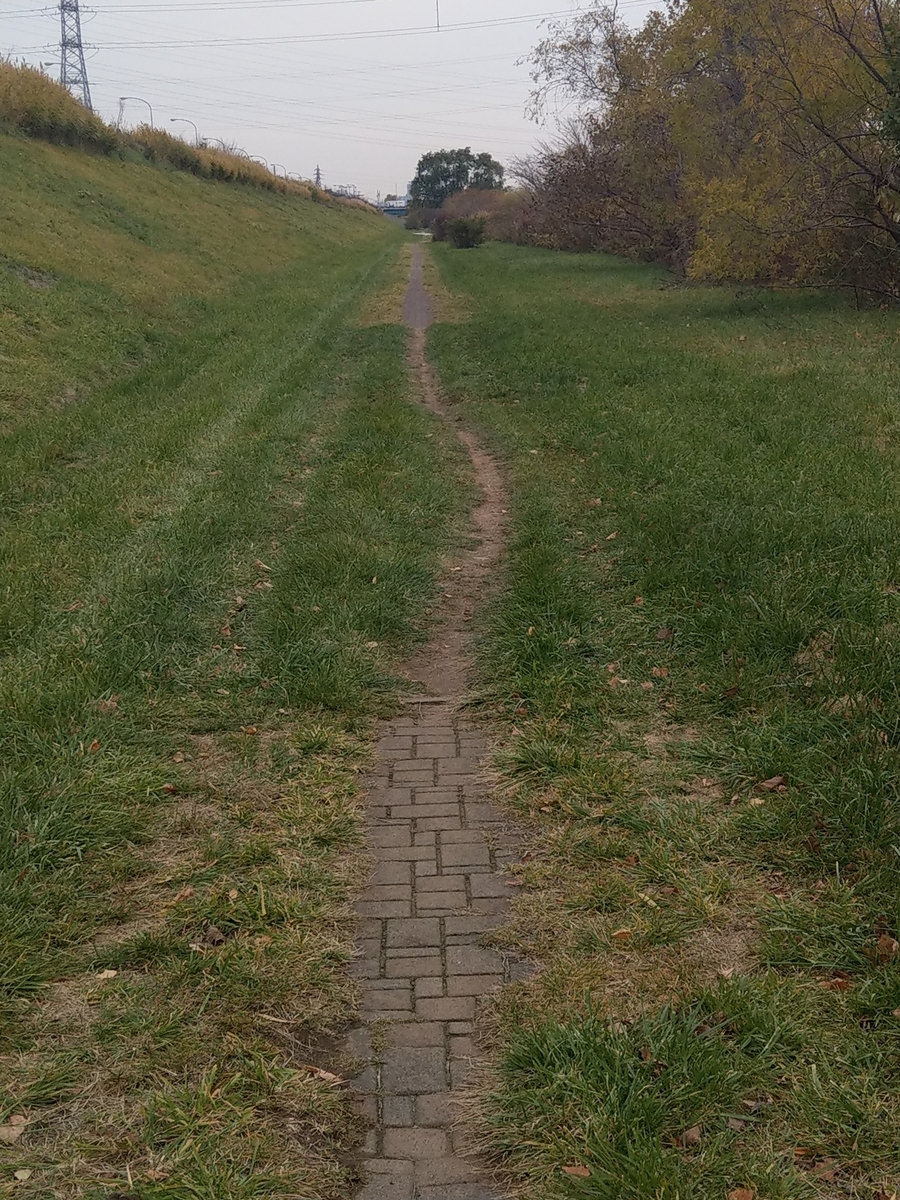 f:id:gdbtt440:20191113165421j:plain