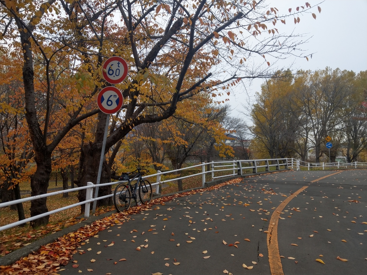 f:id:gdbtt440:20191113171345j:plain