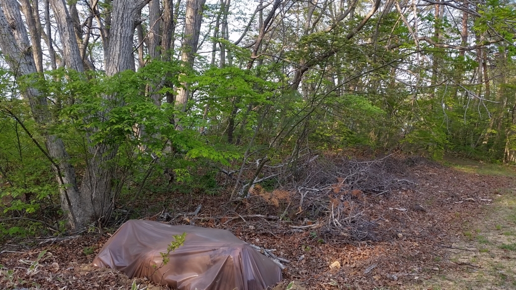 f:id:gdc4:20180505131056j:plain f:id:gdc4:20180505131056j:plain