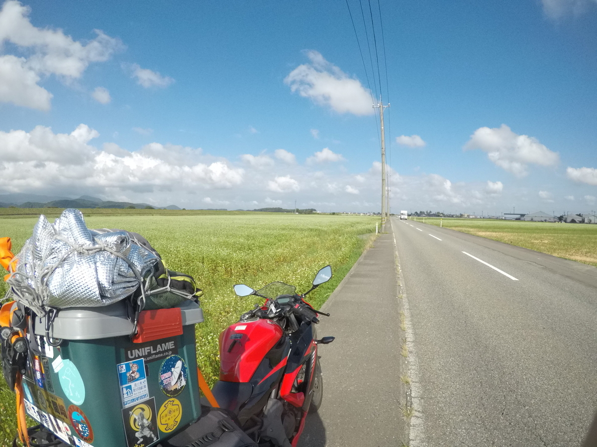 f:id:gdc4:20190929220352j:plain f:id:gdc4:20190929220352j:plain