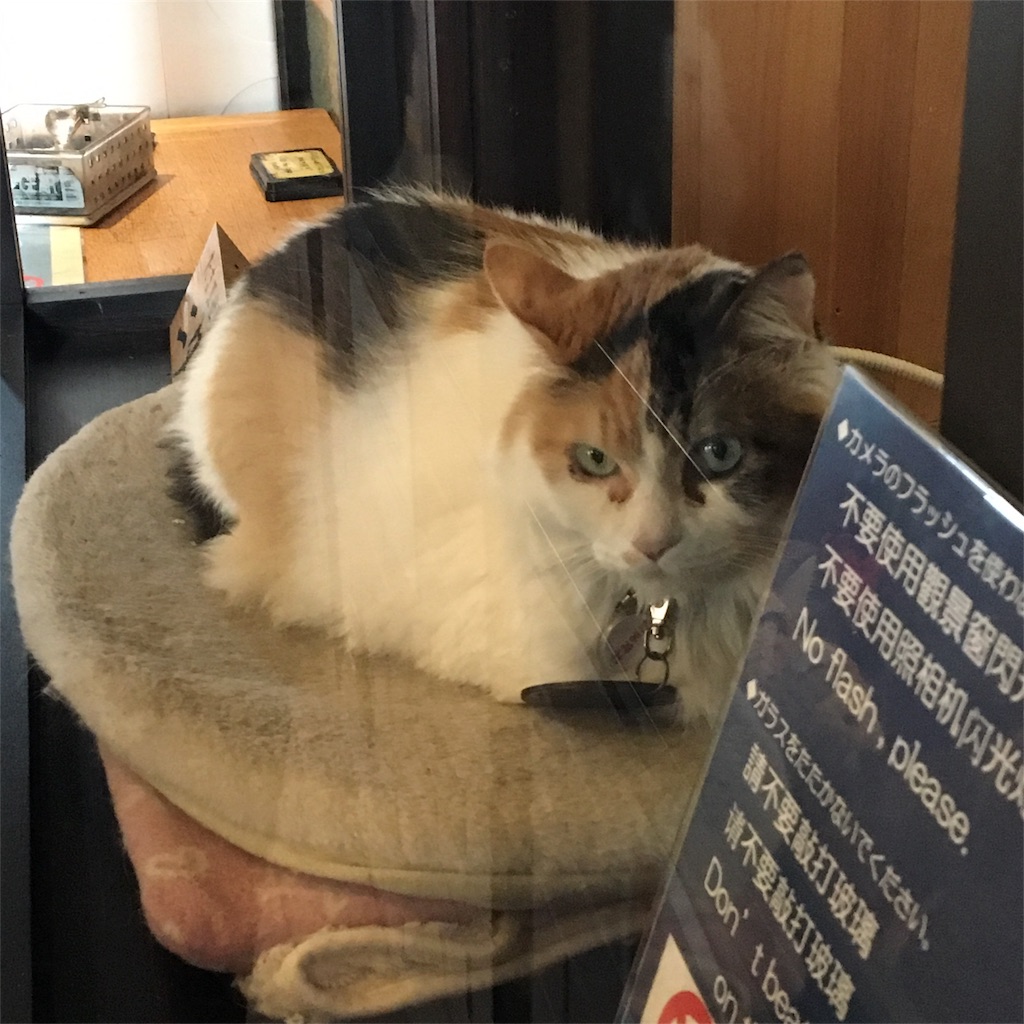 f:id:gdgd_ebisu:20180107194604j:image f:id:gdgd_ebisu:20180107194604j:image
