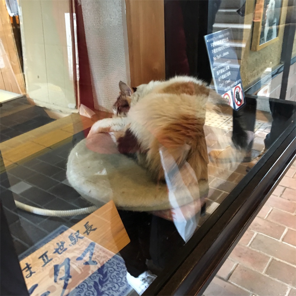 f:id:gdgd_ebisu:20180107194814j:image f:id:gdgd_ebisu:20180107194814j:image