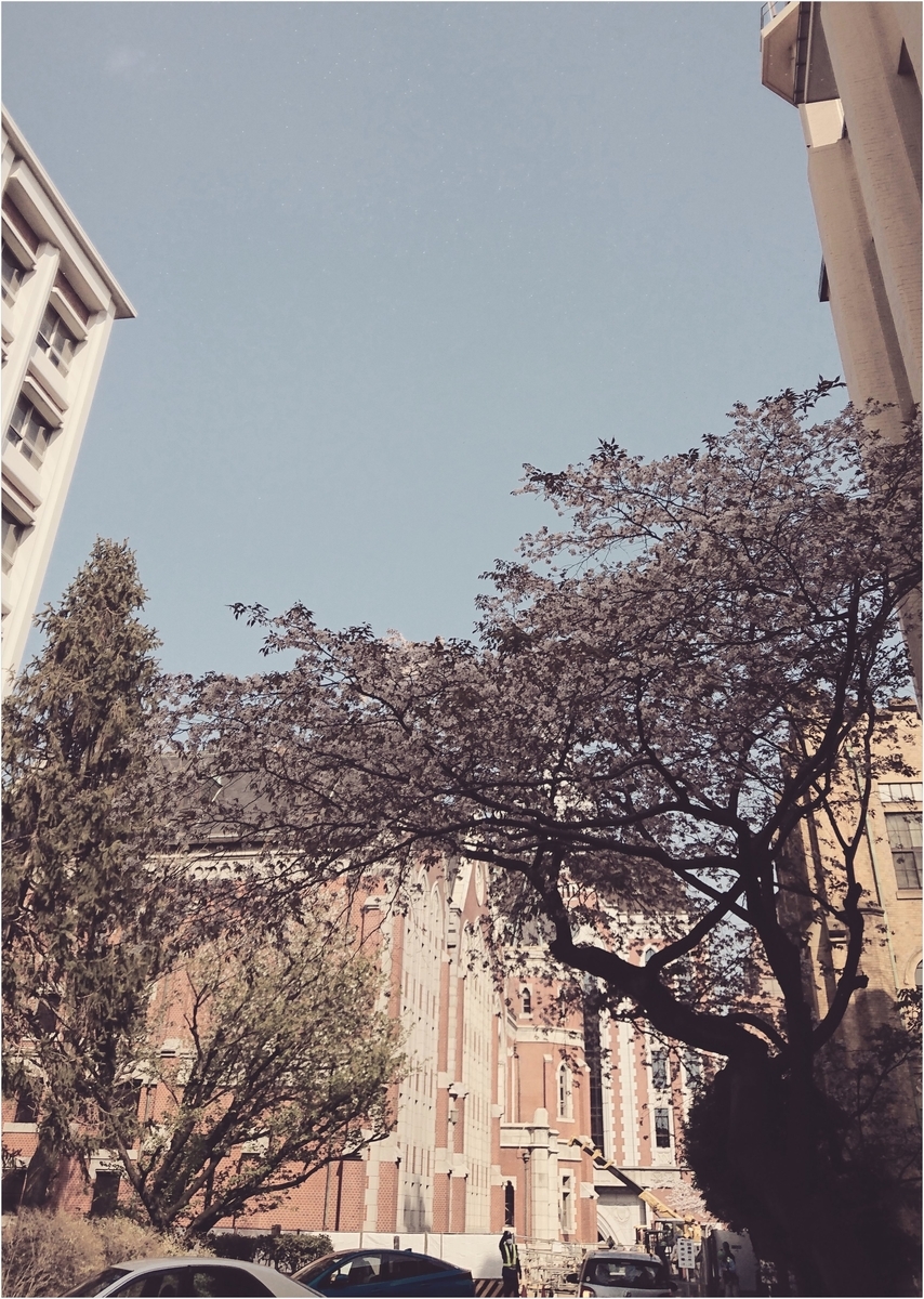 f:id:gdrandrava:20190409062401j:plain