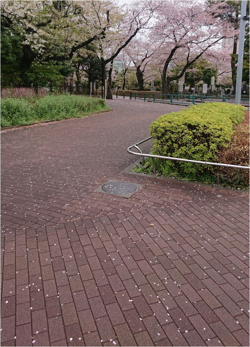 f:id:gdrandrava:20190413091636j:plain