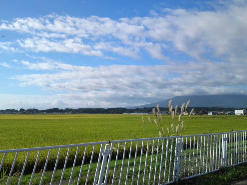 f:id:gearmasher:20130922074714j:image:w800