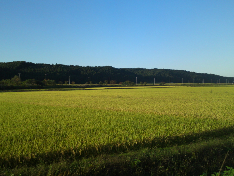 f:id:gearmasher:20130922164329j:image:w800