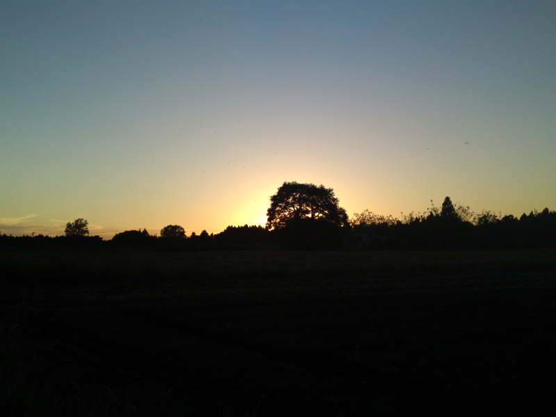 f:id:gearmasher:20130922172033j:image:w800