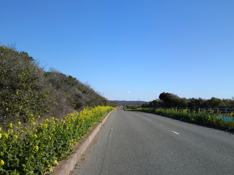 f:id:gearmasher:20140119121332j:image:w800