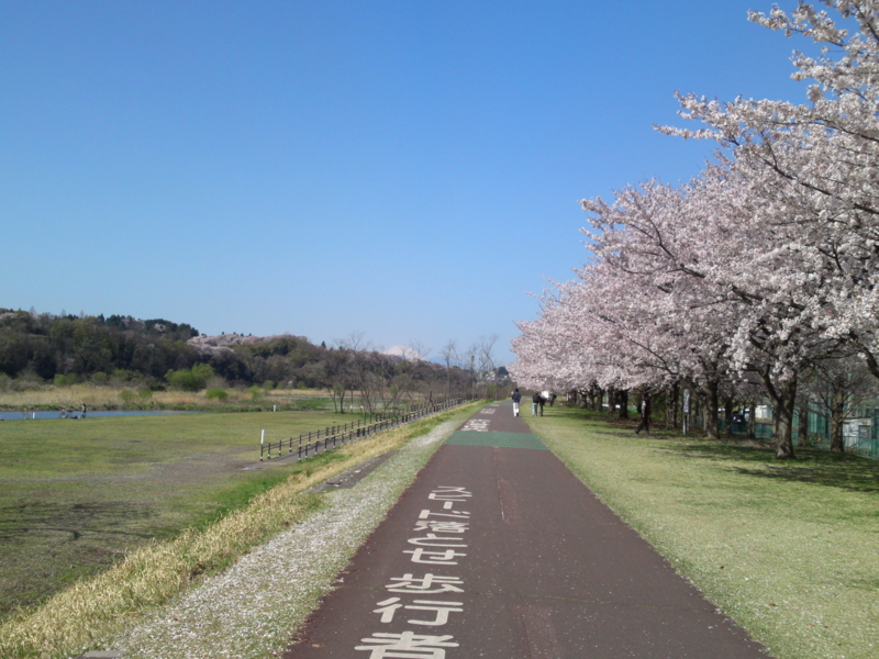 f:id:gearmasher:20140407085458j:image:w800