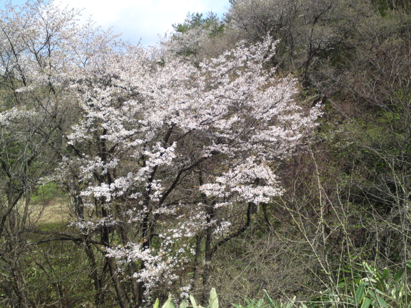 f:id:gearmasher:20140504094247j:image:w800