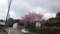 20160207103157