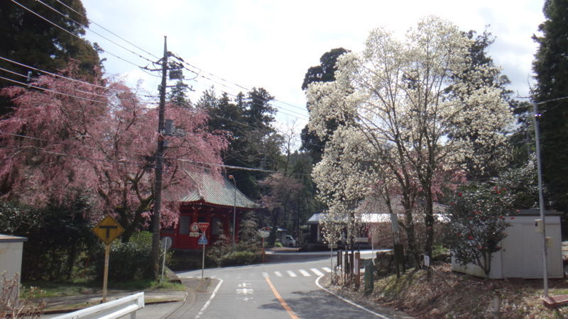 f:id:gearmasher:20180324105401j:plain