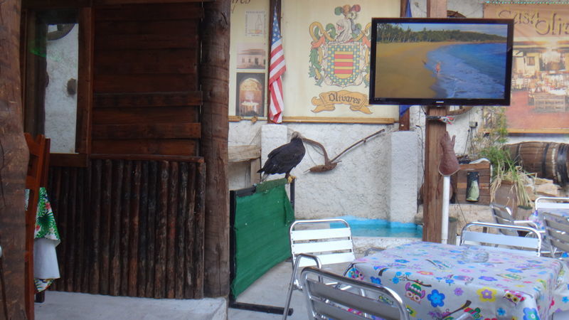 f:id:gearmasher:20180825033449j:plain