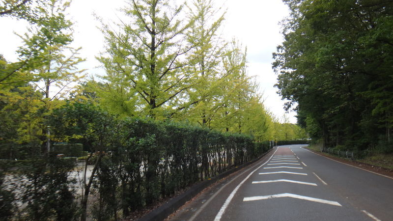 f:id:gearmasher:20181013130543j:plain f:id:gearmasher:20181013130543j:plain