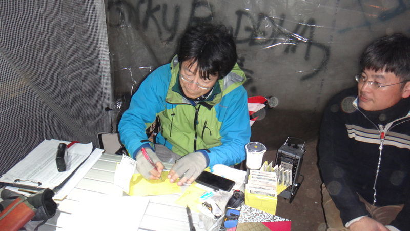 f:id:gearmasher:20190216213624j:plain
