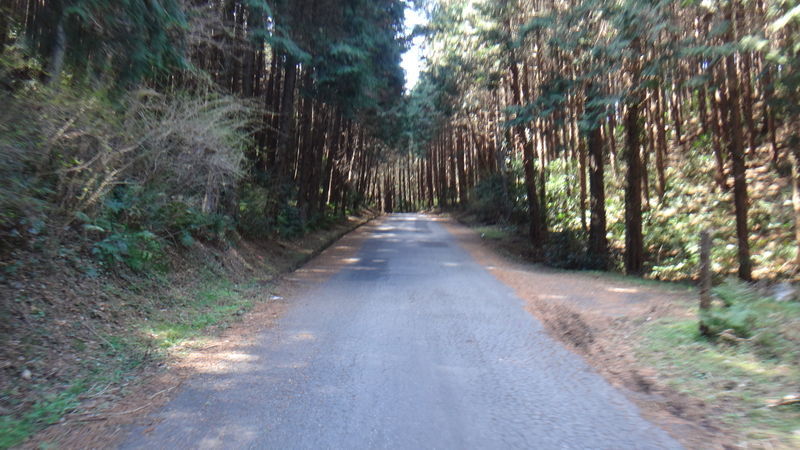 f:id:gearmasher:20190324111324j:plain