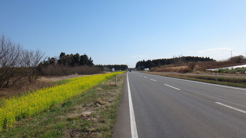 f:id:gearmasher:20190324143332j:plain