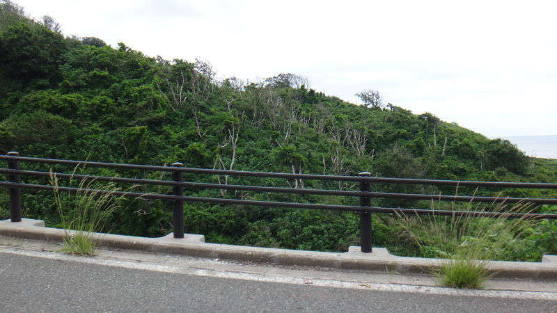 f:id:gearmasher:20190608113250j:plain