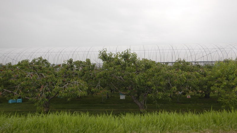 f:id:gearmasher:20190713073113j:plain