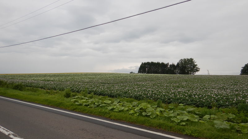 f:id:gearmasher:20190713073233j:plain