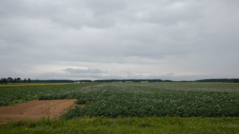 f:id:gearmasher:20190713075600j:plain f:id:gearmasher:20190713075600j:plain