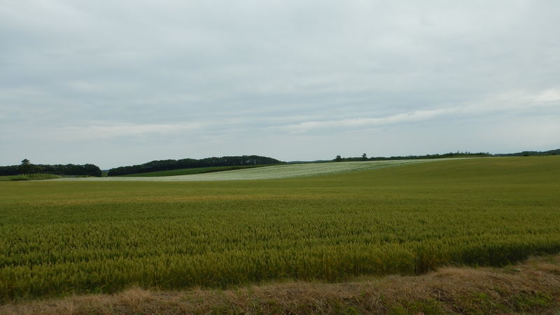 f:id:gearmasher:20190713080644j:plain