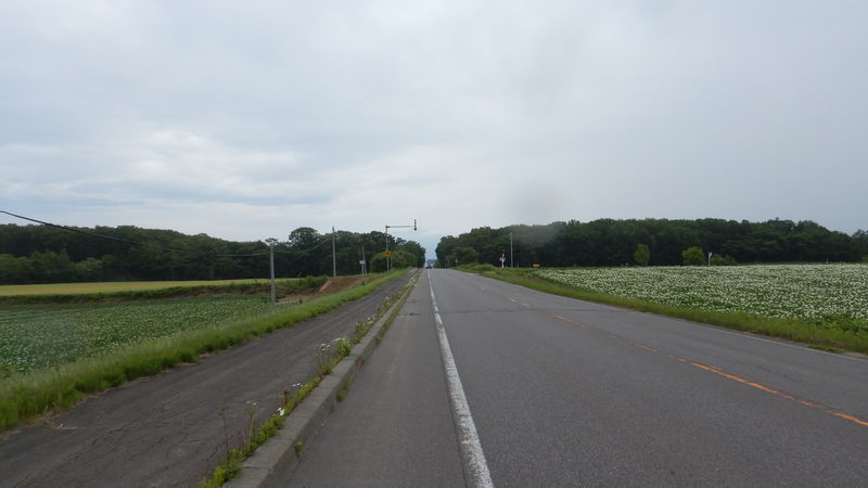 f:id:gearmasher:20190713084746j:plain